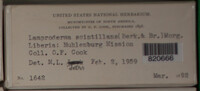 Image Associated With the Occurence